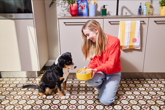 Top je brok: zo maak je de maaltijd van je hond nóg beter