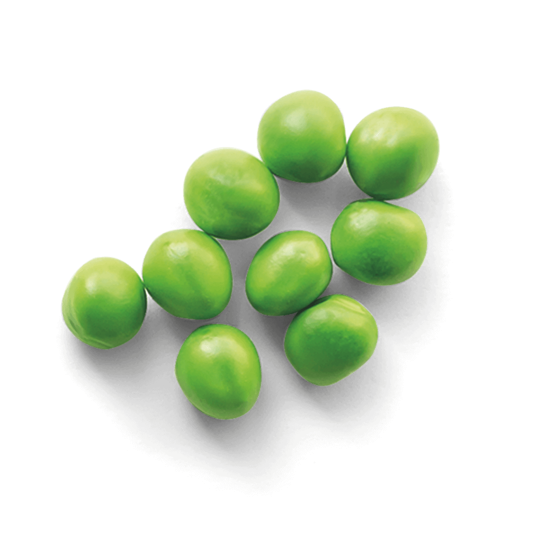 Erwten