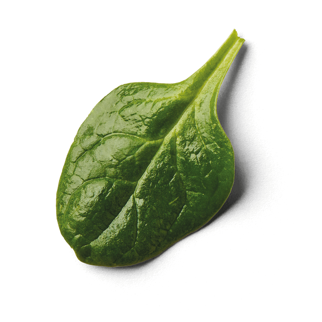 Bladspinazie