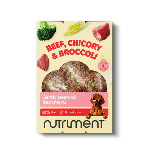 Vers menu rundvlees, witlof & broccoli – 400 g