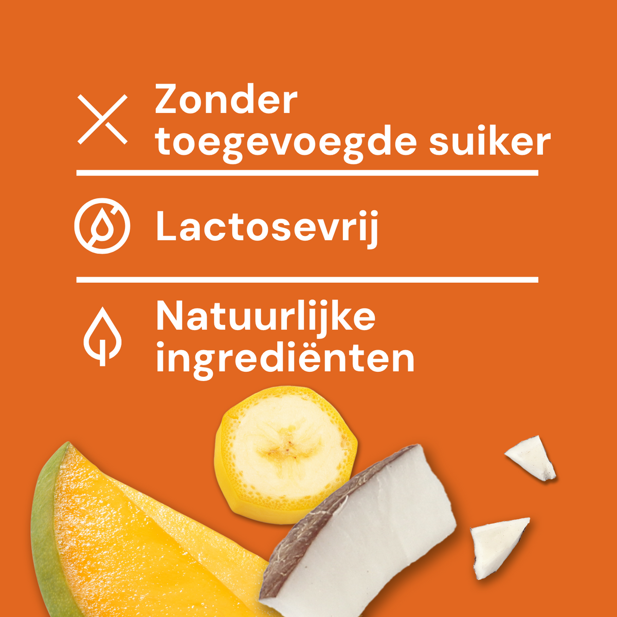 Hondenijs® Banaan, kokos-yoghurt & mango