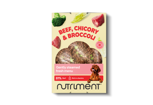 Vers menu rundvlees, witlof & broccoli – 400 g