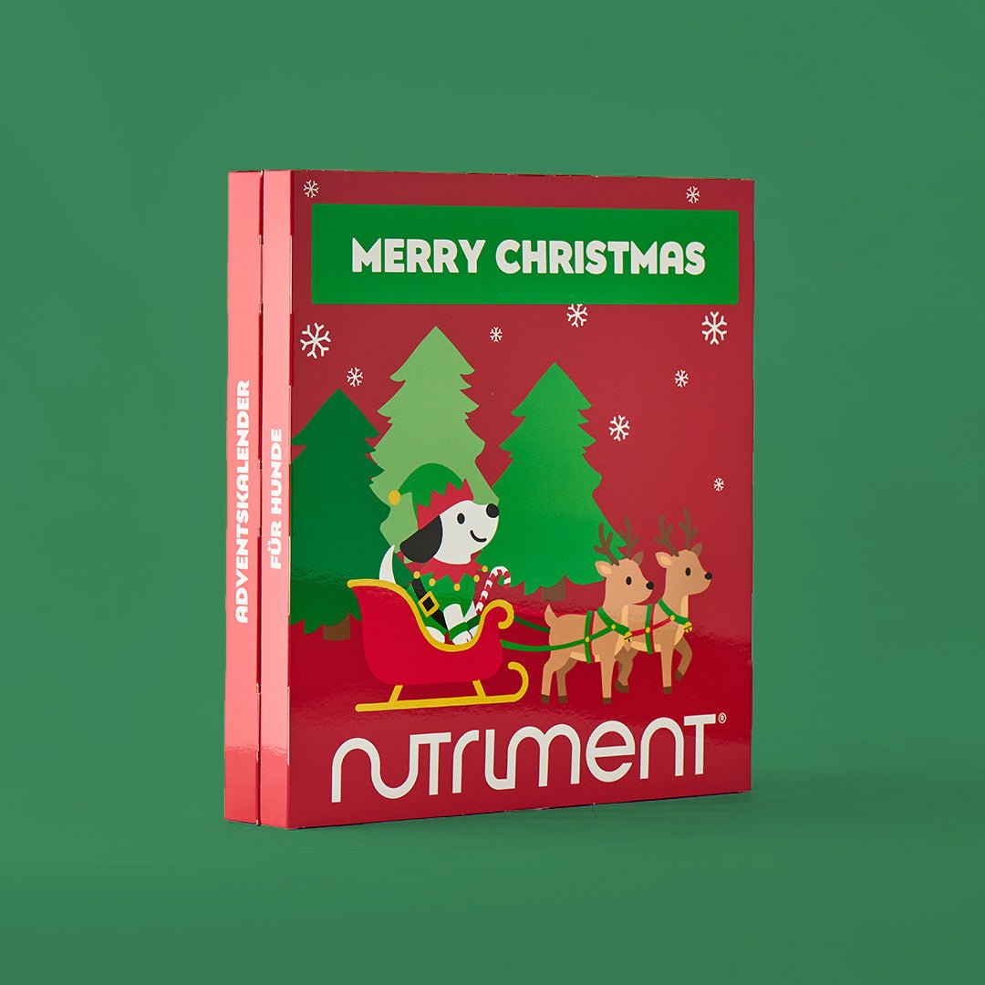 Adventskalender voor honden