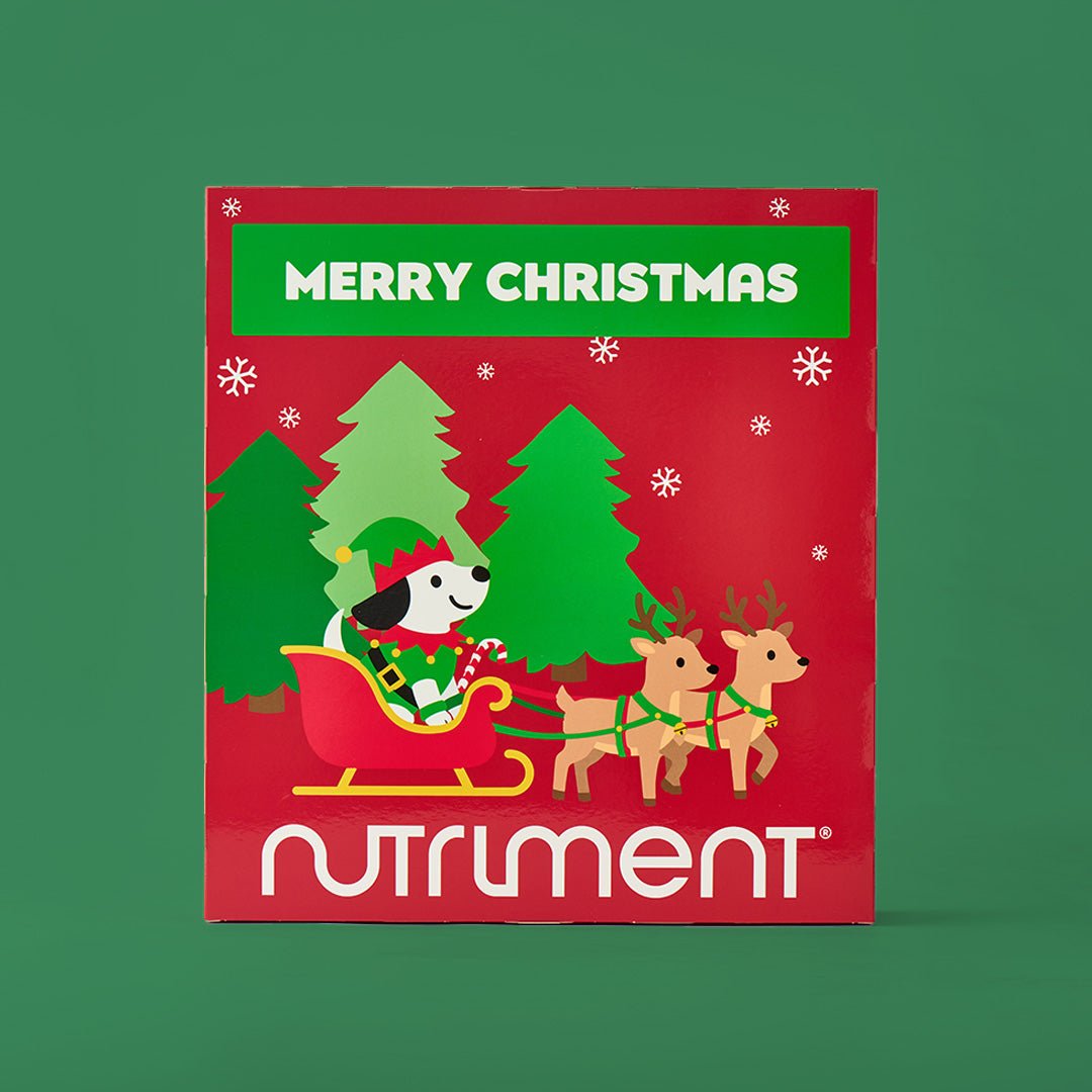 Adventskalender voor honden