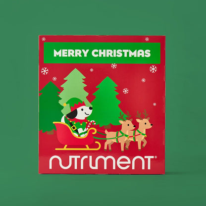 Adventskalender voor honden