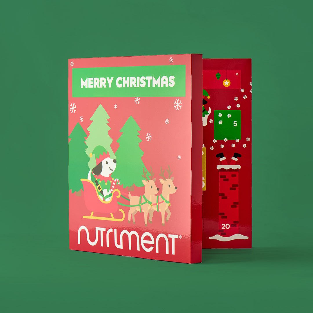 Adventskalender voor honden