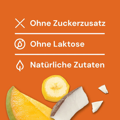 Hondenijs® Banaan, kokos-yoghurt & mango