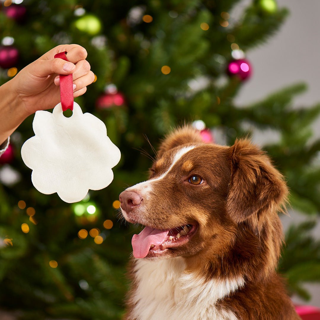 Peperkoek voor honden (3 stuks)