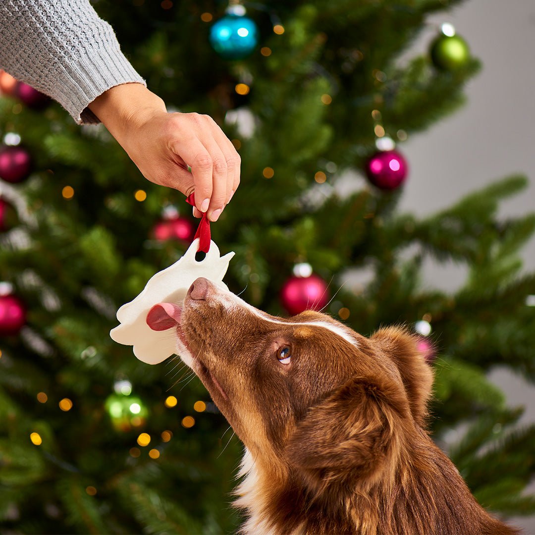 Peperkoek voor honden (3 stuks)