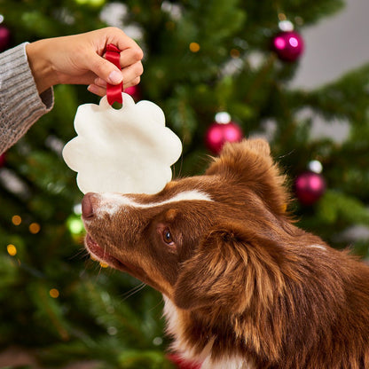 Peperkoek voor honden (3 stuks)