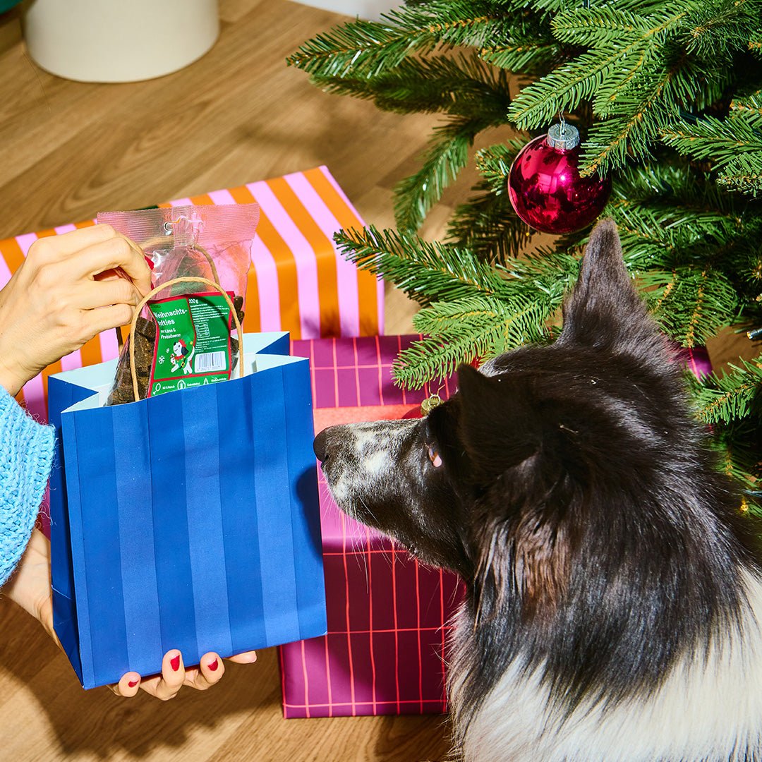 Kerstsofties met kaas & vossenbessen